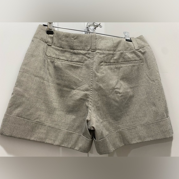 EUC metallic neutral shorts Martin fit - Picture 2 of 4